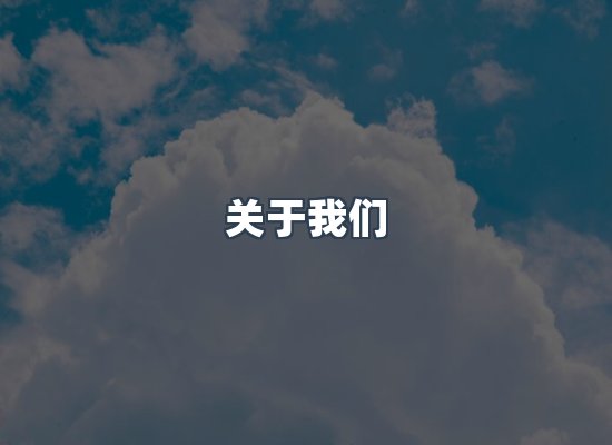 关于我们