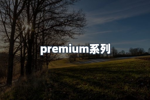 premium系列