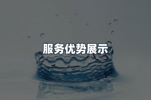 服务优势展示
