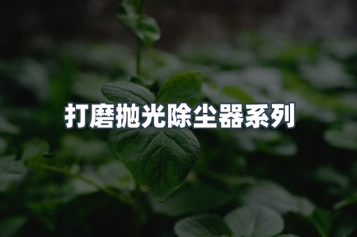 打磨抛光除尘器系列