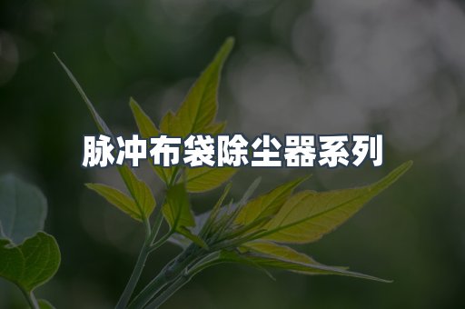脉冲布袋除尘器系列